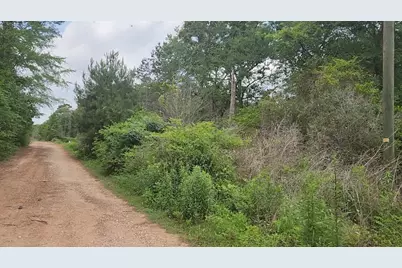 Lot 10 B53 Sweetleaf Lane, Plantersville, TX 77363 - Photo 15