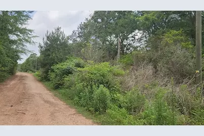 Lot 10 B53 Sweetleaf Lane, Plantersville, TX 77363 - Photo 13