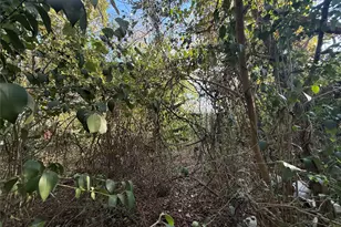 4320 Banner Dr, Houston, TX 77013 - Photo 39