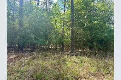 00 Belladonna Drive, Onalaska, TX 77360 - Photo 3