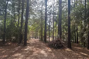 445 Escapees Dr, Livingston, TX 77351 - Photo 1