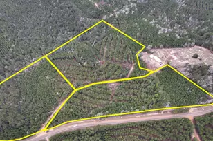 T-2 County Road 1019, Newton, TX 75966 - Photo 1