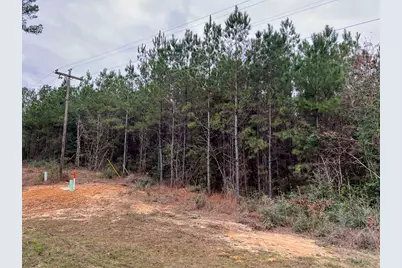 T-2 County Road 1019, Newton, TX 75966 - Photo 13