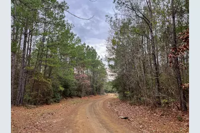 T-2 County Road 1019, Newton, TX 75966 - Photo 5