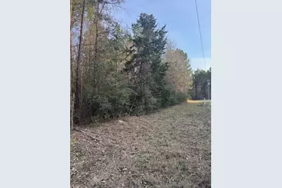 Tbd Piney Creek Subdivision, Corrigan, TX 75939 - Photo 3