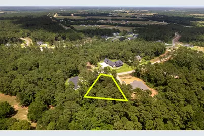 8618 Cedar Meadow Lane, Plantersville, TX 77363 - Photo 9