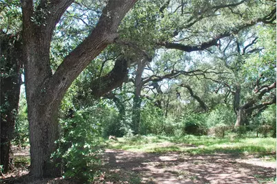 29 County Road 77B, Hallettsville, TX 77964 - Photo 15