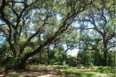 29 County Road 77B, Hallettsville, TX 77964 - Photo 19