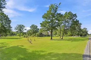 1035 Fm 3277, Livingston, TX 77351 - Photo 7