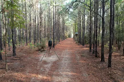 350 Williamson Way, Lovelady, TX 75851 - Photo 11