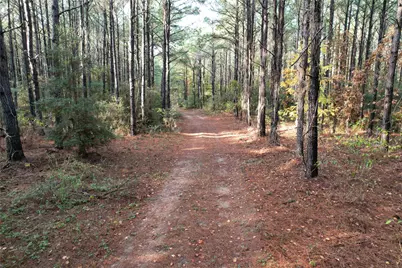 350 Williamson Way, Lovelady, TX 75851 - Photo 9