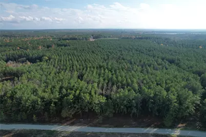 350 Williamson Way, Lovelady, TX 75851 - Photo 3