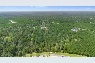 12056 High Branch Way, Willis, TX 77378 - Photo 11