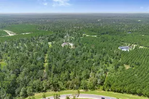 12056 High Br Wy, Willis, TX 77378 - Photo 11