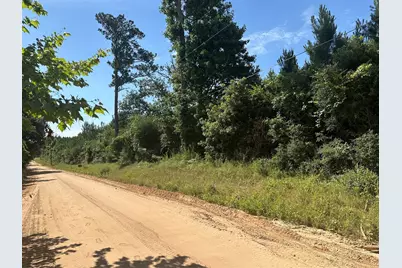 Tbd Oakdale Loop, Livingston, TX 77351 - Photo 3