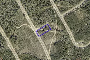 16152 Frst Ml Rd, Willis, TX 77378 - Photo 3