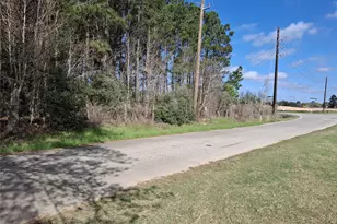 25450 Decker Prairie-Rosehill Rd, Magnolia, TX 77355 - Photo 3