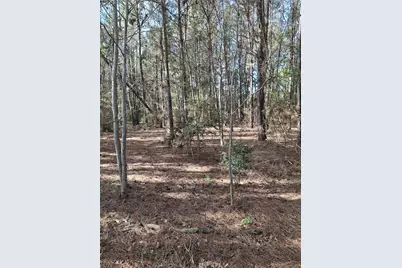 25450 Decker Prairie Rosehill Road, Magnolia, TX 77355 - Photo 5