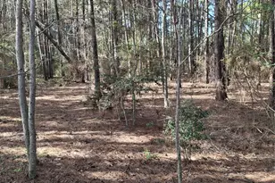 25450 Decker Prairie-Rosehill Rd, Magnolia, TX 77355 - Photo 5