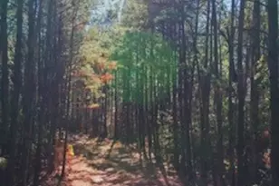 41730 Wendele Wy, Montgomery, TX 77316 - Photo 45