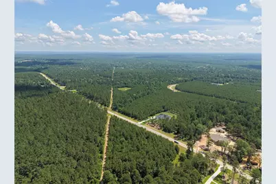 10721 Ruger Road, Willis, TX 77378 - Photo 7