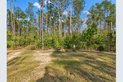 10721 Ruger Road, Willis, TX 77378 - Photo 1