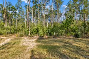 10721 Ruger Rd, Willis, TX 77378 - Photo 1
