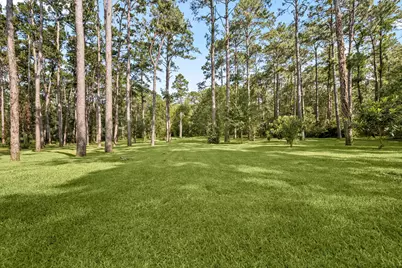 7302 Pine Drive, Alvin, TX 77511 - Photo 45