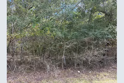 00 Bayou Drive, Danbury, TX 77534 - Photo 1