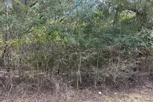 00 Bayou Dr, Danbury, TX 77534 - Photo 1