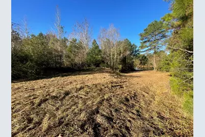 Lot 1 E Fm 942, Camden, TX 75934 - Photo 23