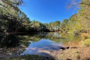 Lot 1 E Fm 942, Camden, TX 75934 - Photo 1