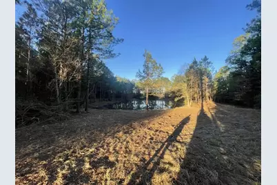 Lot 1 E Fm 942, Camden, TX 75934 - Photo 21