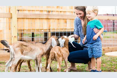 3219 Key Lime Drive, Richmond, TX 77406 - Photo 13