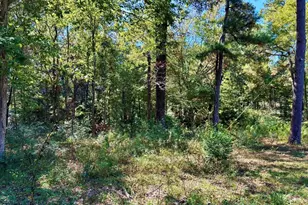 458 Painters Dr, Livingston, TX 77351 - Photo 29