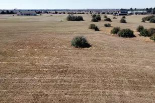 8412 Hillboldt Rd, Cat Spring, TX 78933 - Photo 9