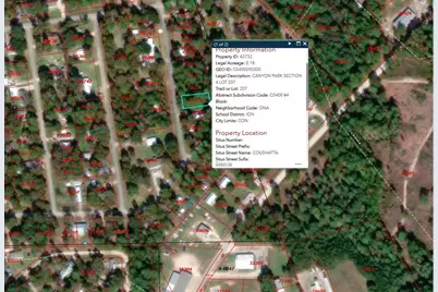 193 Coushatta, Onalaska, TX 77360 - Photo 3