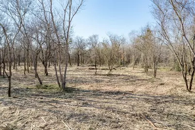 0 Pultar Road, Richmond, TX 77469 - Photo 5