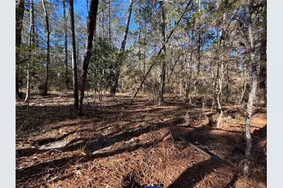 345 Sumac Drive, Brookeland, TX 75931 - Photo 3