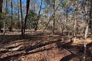 345 Sumac Dr, Brookeland, TX 75931 - Photo 3