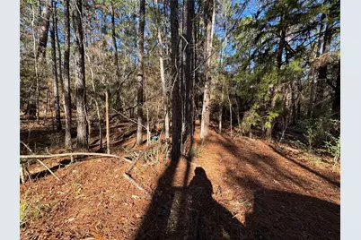 345 Sumac Drive, Brookeland, TX 75931 - Photo 5