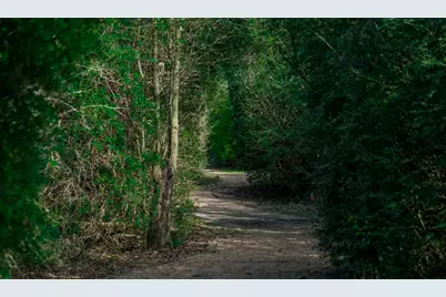 16122 Golden Manor Lane, Cypress, TX 77429 - Photo 43