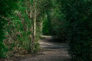 16122 Golden Manor Ln, Cypress, TX 77429 - Photo 43