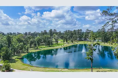 452 Texoma Plains Drive, Conroe, TX 77384 - Photo 33