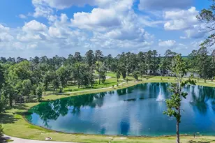 452 Texoma Plains Dr, Conroe, TX 77384 - Photo 33