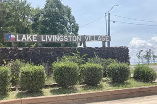 204 Knottypine, Livingston, TX 77351 - Photo 29