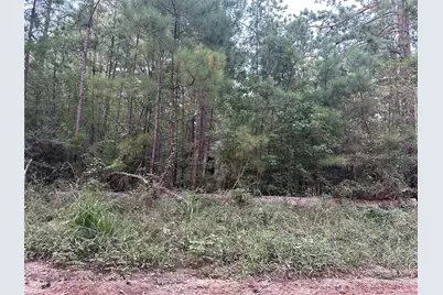 2103 Jenkins Road, Coldspring, TX 77331 - Photo 15