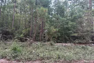 2103 Jenkins Rd, Coldspring, TX 77331 - Photo 13