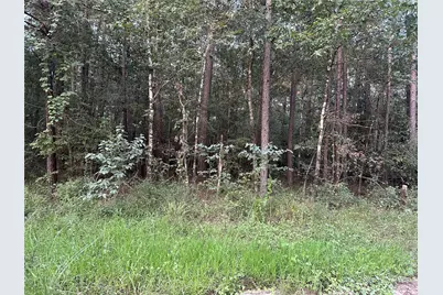 2103 Jenkins Road, Coldspring, TX 77331 - Photo 7