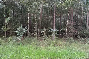 2103 Jenkins Rd, Coldspring, TX 77331 - Photo 7